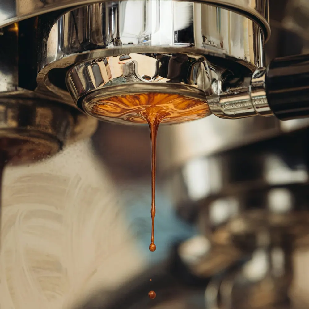 Espresso pouring from the portafilter of the Fernbrook Barista machine