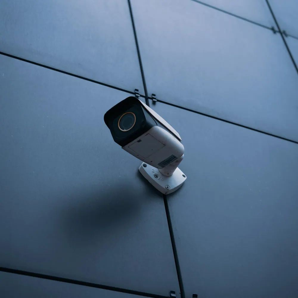 Palmwood Nest indoor security camera mounted on a wall